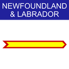 Neufundland & Labrador Navi mieten 